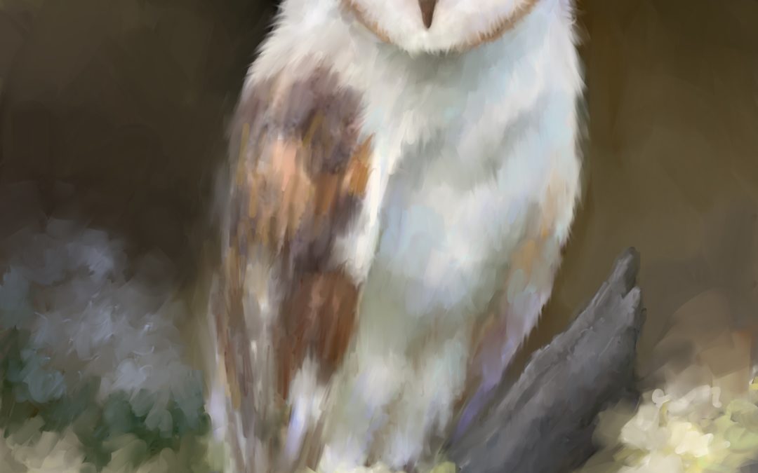 Owl in the Woods