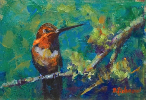 Rufus Hummingbird
