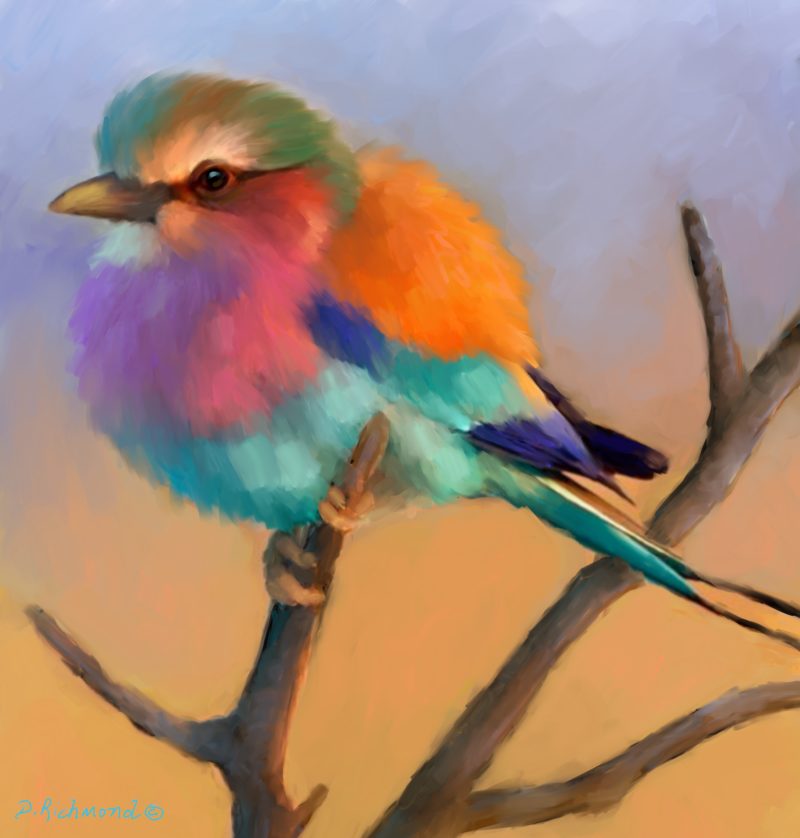 Lilac Breasted Roller II