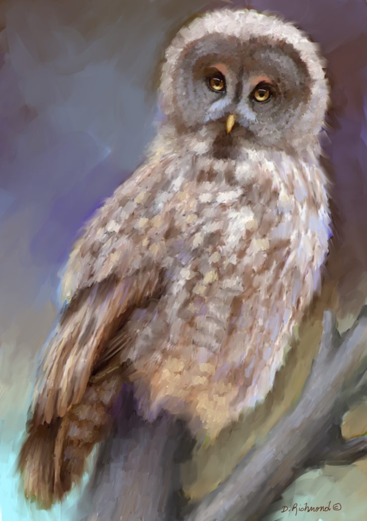 Owl Lover